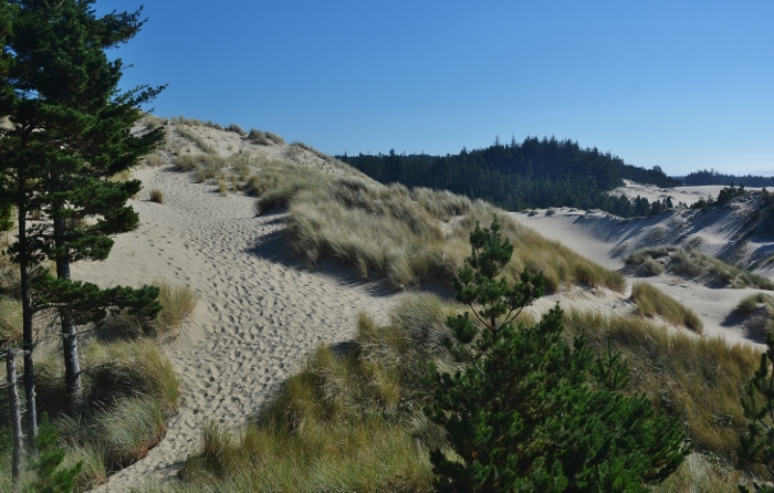 sandy dunes
